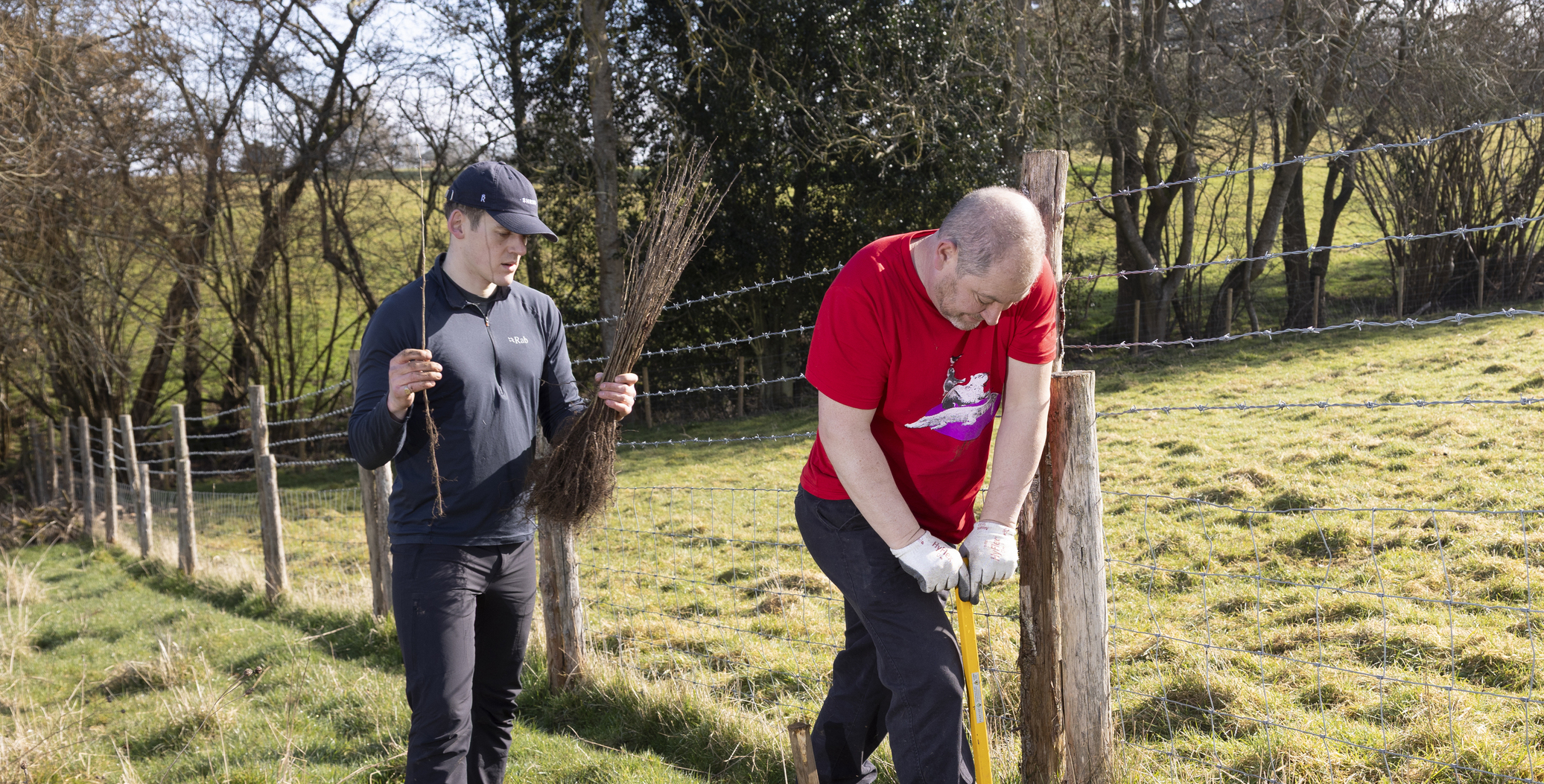 Team planting trees on a Carma UK reforestation day