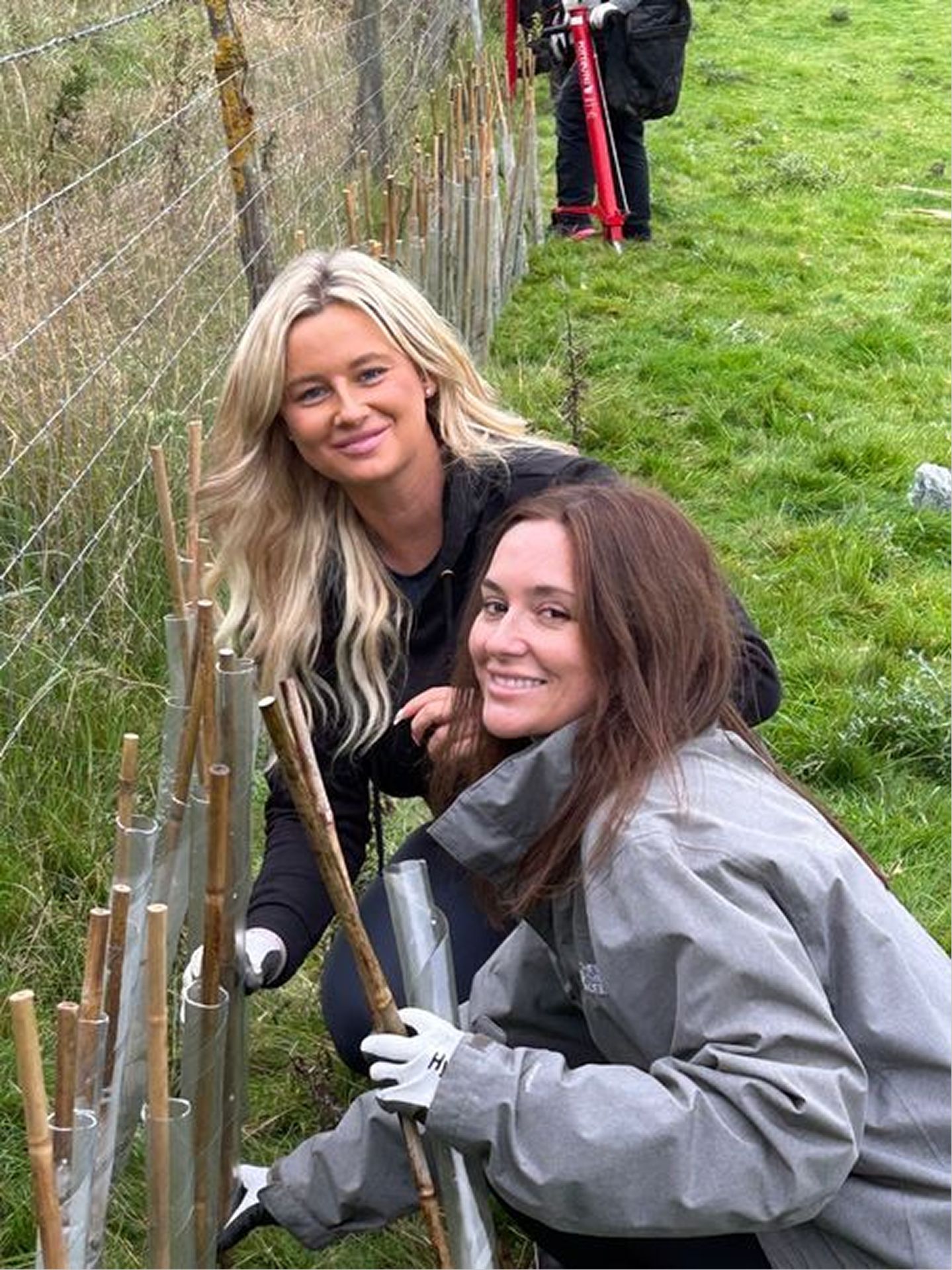 Corporate team planting trees at a UK reforestation site